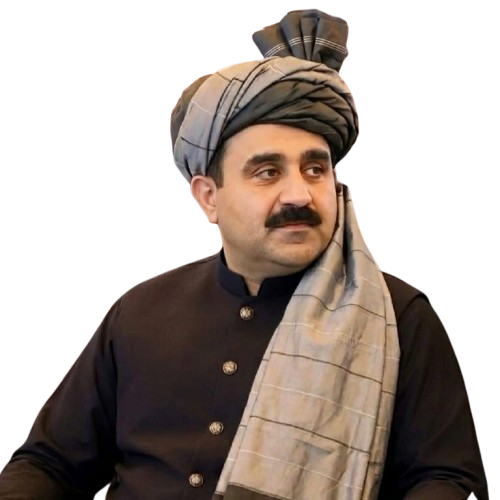 Government Official